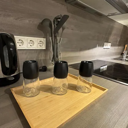 Design-apartment - Garten - Parken - Kueche 伯布林根